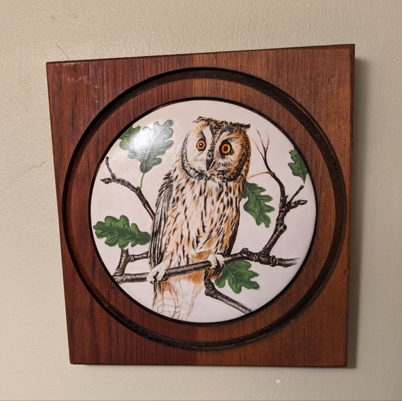 Vintage SQ. Wood Framed Round Ceramic Owl Tile Wall Decor Cabin Brown & White - Picture 5 of 7